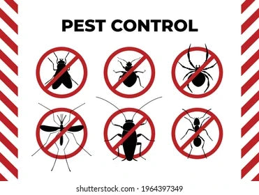 Pest Control and Home care